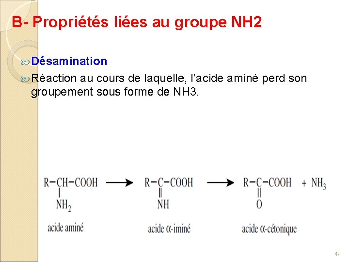 B- Propriétés liées au groupe NH 2 Désamination Réaction au cours de laquelle, l’acide