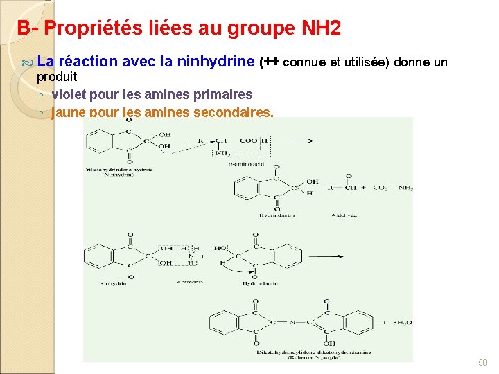 B- Propriétés liées au groupe NH 2 La réaction avec la ninhydrine (++ connue