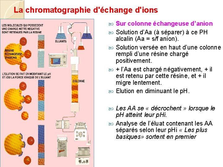 La chromatographie d'échange d'ions Sur colonne échangeuse d’anion Solution d’Aa (à séparer) à ce