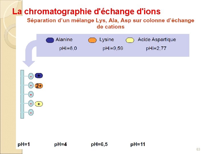 La chromatographie d'échange d'ions 63 