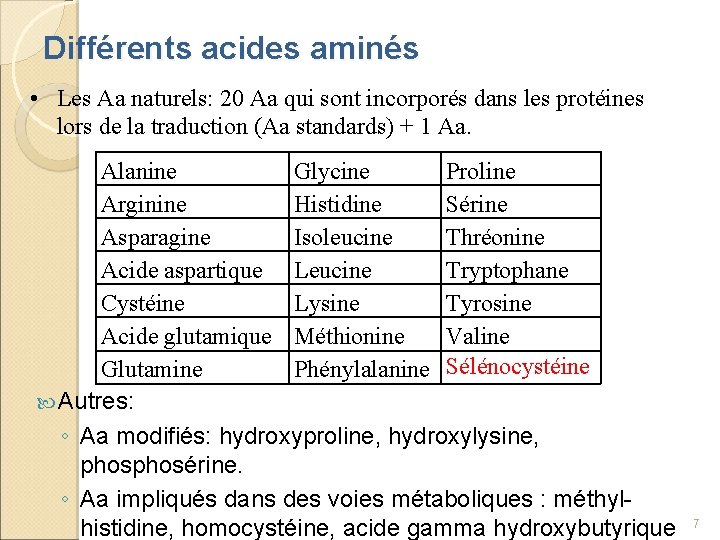 Différents acides aminés • Les Aa naturels: 20 Aa qui sont incorporés dans les