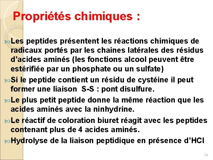 Propriétés chimiques : Les peptides présentent les réactions chimiques de radicaux portés par les