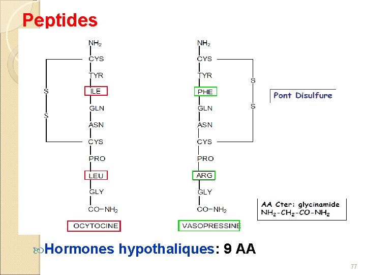Peptides Hormones hypothaliques: 9 AA 77 
