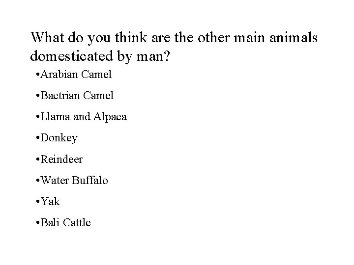 What do you think are the other main animals domesticated by man? • Arabian