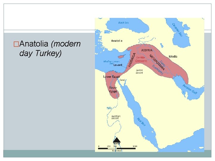 �Anatolia (modern day Turkey) 