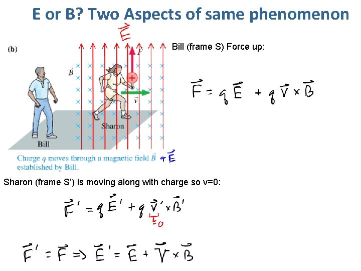 E or B? Two Aspects of same phenomenon Bill (frame S) Force up: Sharon