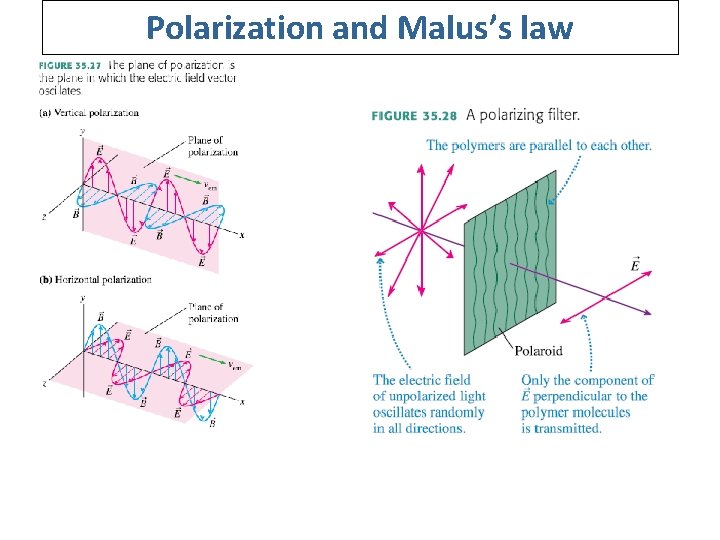 Polarization and Malus’s law 