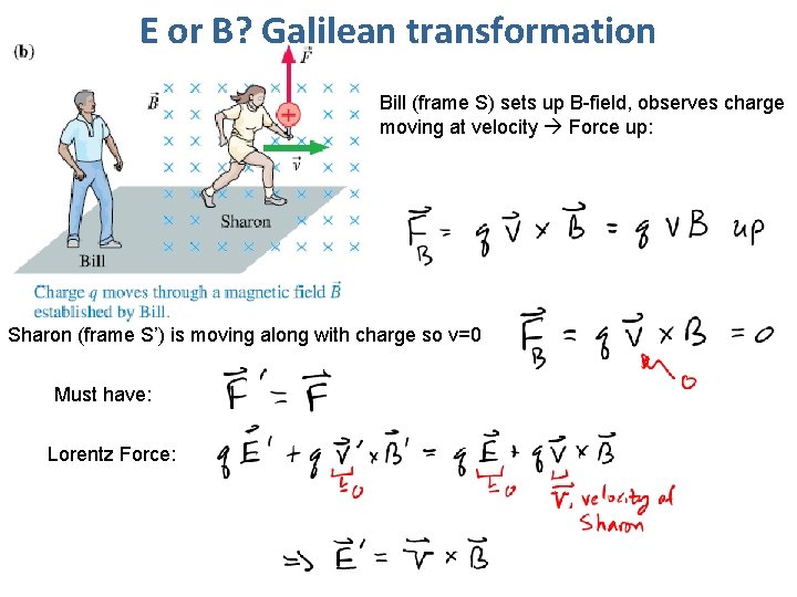 E or B? Galilean transformation Bill (frame S) sets up B-field, observes charge moving