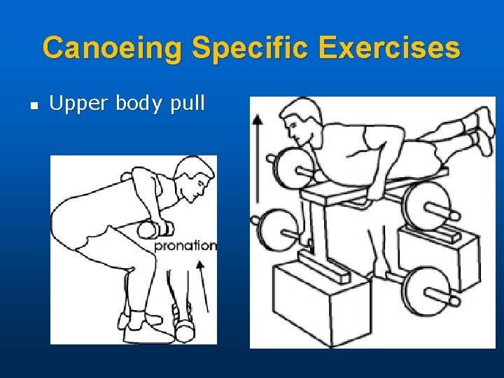 Canoeing Specific Exercises n Upper body pull 
