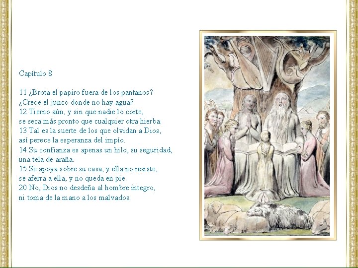Capítulo 8 11 ¿Brota el papiro fuera de los pantanos? ¿Crece el junco donde