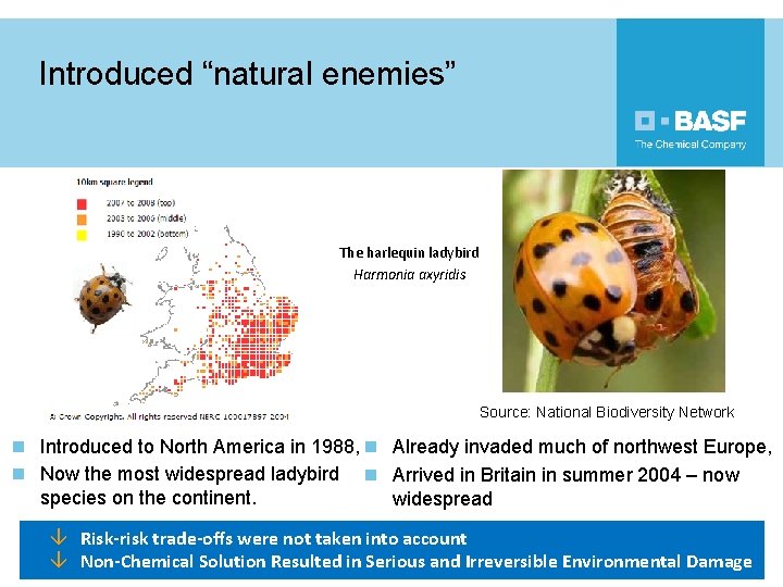 Introduced “natural enemies” The harlequin ladybird Harmonia axyridis Source: National Biodiversity Network n Introduced