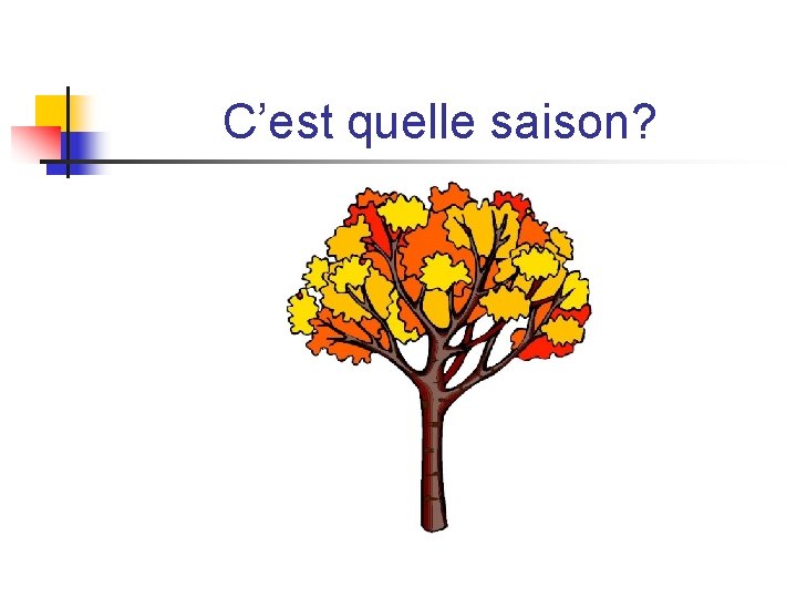 C’est quelle saison? C’est quelle saison?