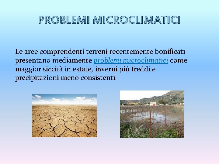 PROBLEMI MICROCLIMATICI Le aree comprendenti terreni recentemente bonificati presentano mediamente problemi microclimatici come maggior