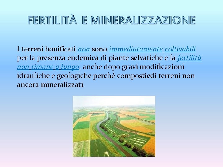 FERTILITÀ E MINERALIZZAZIONE I terreni bonificati non sono immediatamente coltivabili per la presenza endemica