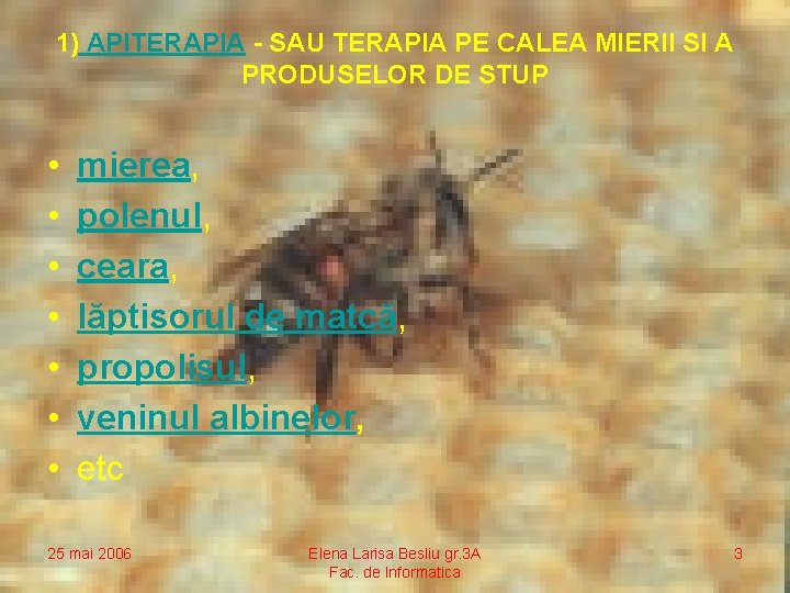 1) APITERAPIA - SAU TERAPIA PE CALEA MIERII SI A PRODUSELOR DE STUP •