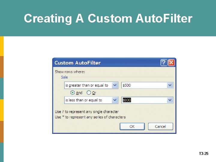 Creating A Custom Auto. Filter T 3 -25 