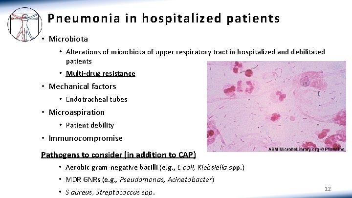 Pneumonia in hospitalized patients • Microbiota • Alterations of microbiota of upper respiratory tract
