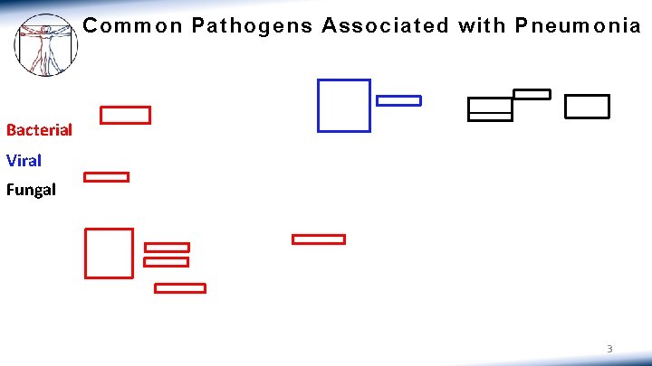 Common Pathogens Associated with Pneumonia Bacterial Viral Fungal 3 
