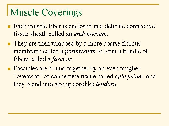 Muscle Coverings n n n Each muscle fiber is enclosed in a delicate connective