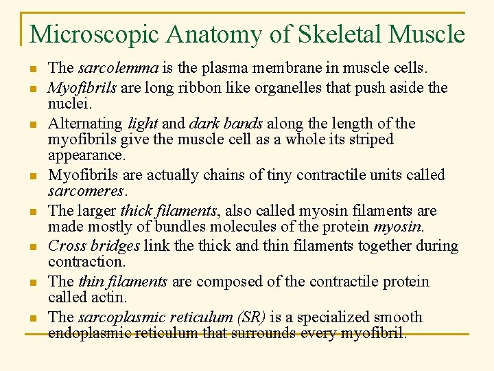 Microscopic Anatomy of Skeletal Muscle n n n n The sarcolemma is the plasma