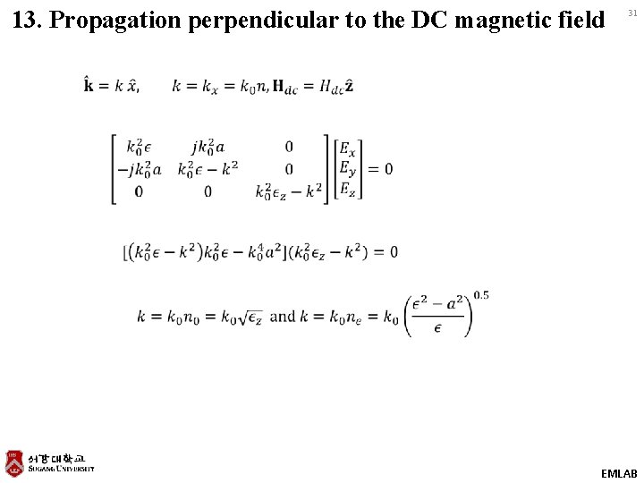 13. Propagation perpendicular to the DC magnetic field 31 EMLAB 