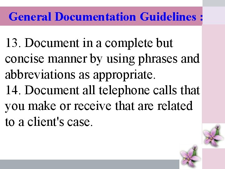 General Documentation Guidelines : 13. Document in a complete but concise manner by using