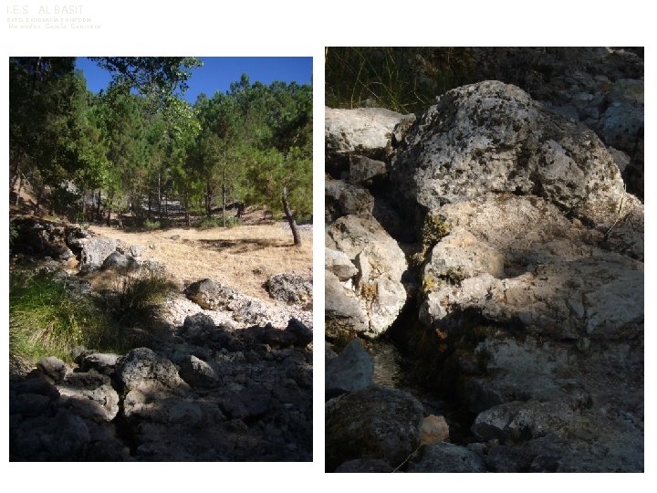 I. E. S. AL BASIT DPTO. GEOGRAFÍA E HISTORIA Mercedes García Guerrero 