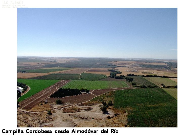 I. E. S. AL BASIT DPTO. GEOGRAFÍA E HISTORIA Mercedes García Guerrero Campiña Cordobesa