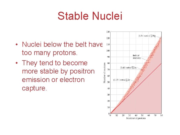 Stable Nuclei • Nuclei below the belt have too many protons. • They tend