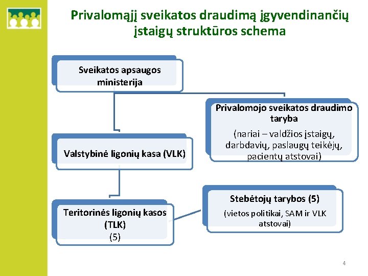 Privalomąjį sveikatos draudimą įgyvendinančių įstaigų struktūros schema Sveikatos apsaugos ministerija Valstybinė ligonių kasa (VLK)