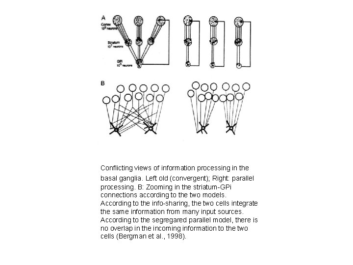 Conflicting views of information processing in the basal ganglia. Left old (convergent); Right: parallel