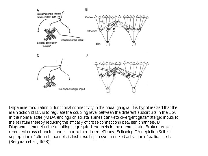Dopamine modulation of functional connectivity in the basal ganglia. It is hypothesized that the