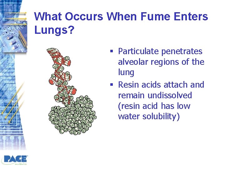 What Occurs When Fume Enters Lungs? § Particulate penetrates alveolar regions of the lung