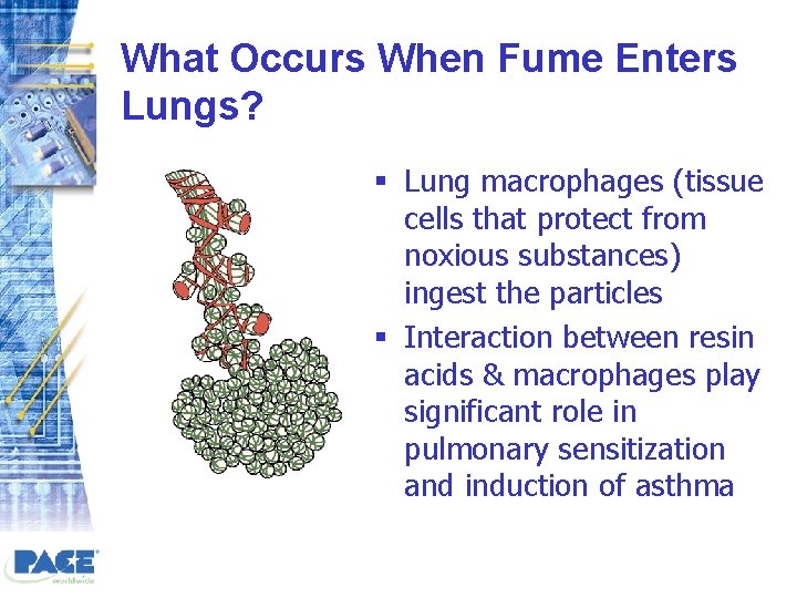 What Occurs When Fume Enters Lungs? § Lung macrophages (tissue cells that protect from