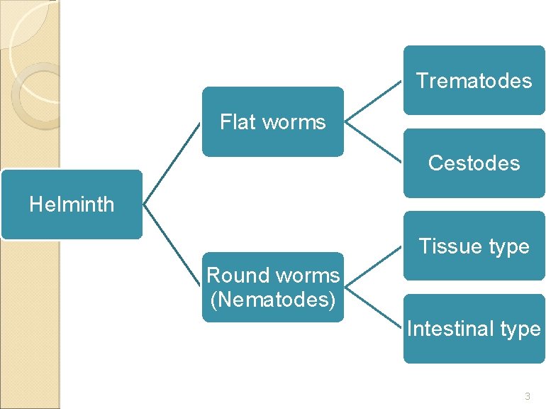 Trematodes Flat worms Cestodes Helminth Tissue type Round worms (Nematodes) Intestinal type 3 