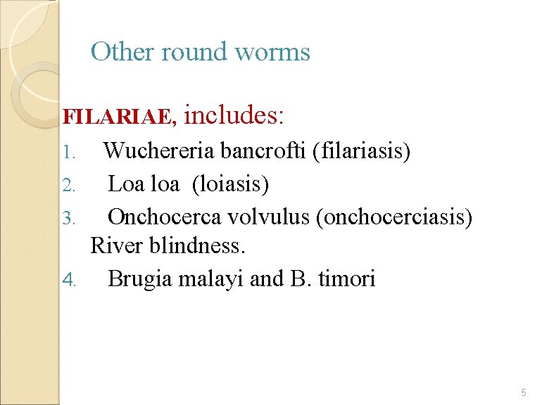 Other round worms FILARIAE, includes: Wuchereria bancrofti (filariasis) 2. Loa loa (loiasis) 3. Onchocerca