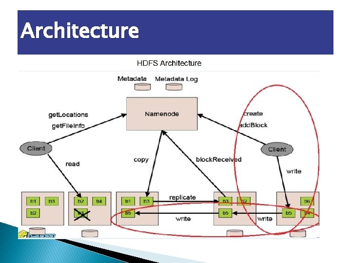 Architecture 