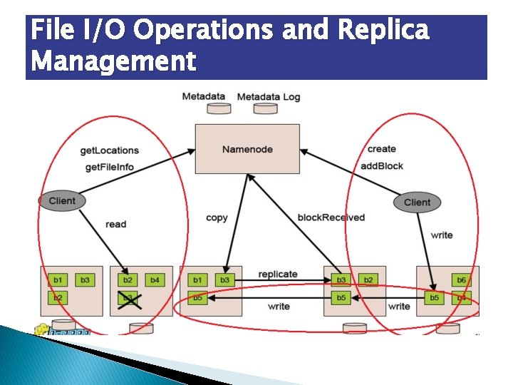 File I/O Operations and Replica Management 