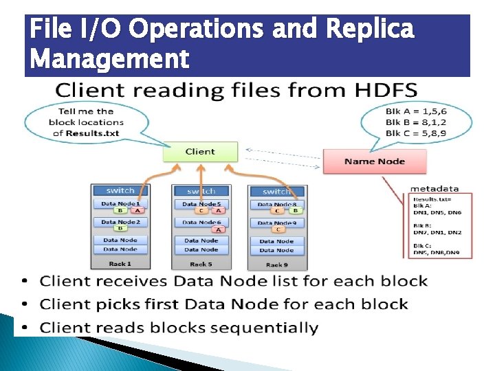 File I/O Operations and Replica Management 