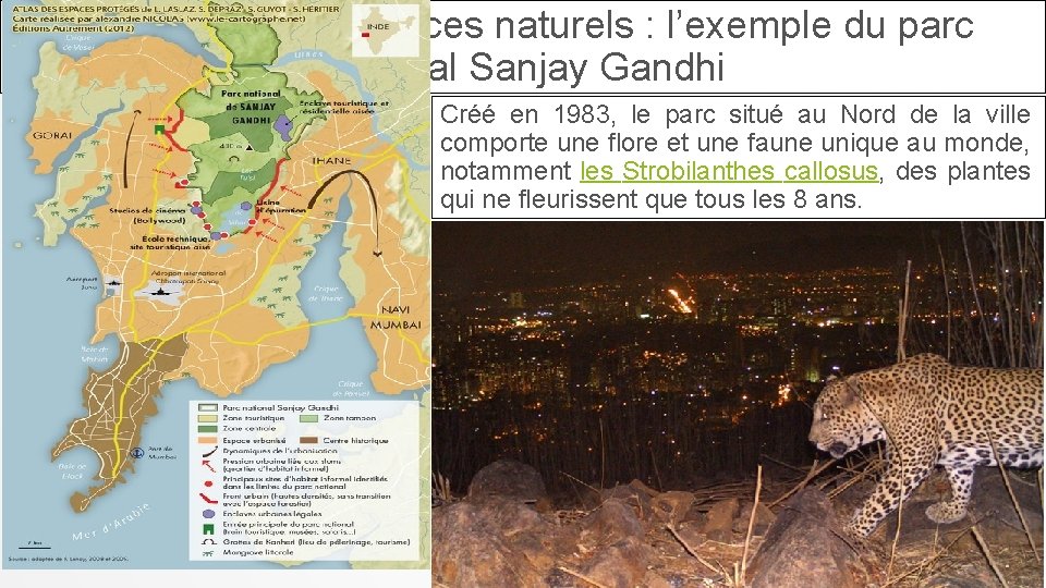 La gestion des espaces naturels : l’exemple du parc national Sanjay Gandhi Créé en