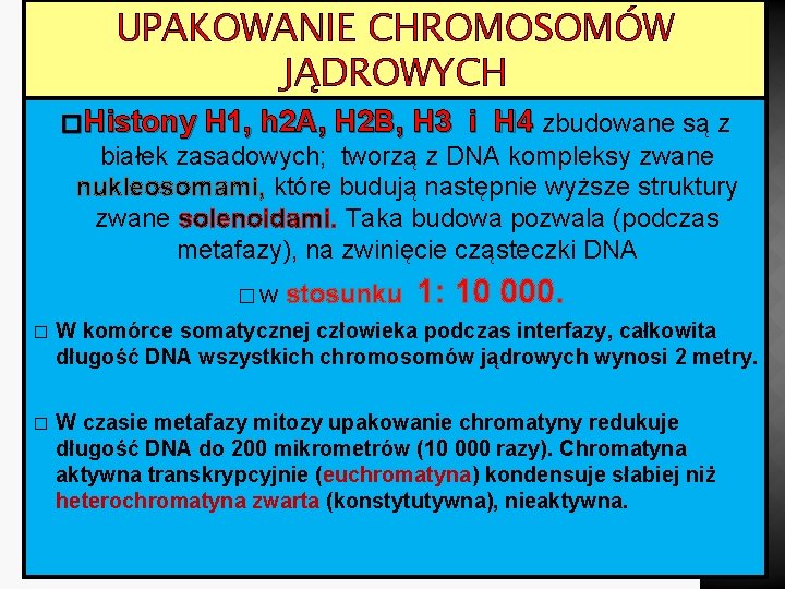 UPAKOWANIE CHROMOSOMÓW JĄDROWYCH � Histony H 1, h 2 A, H 2 B, H