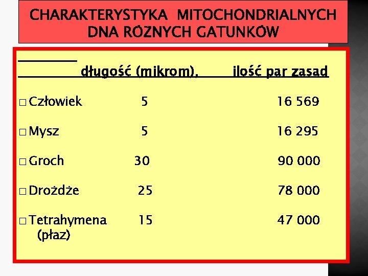 długość (mikrom), ilość par zasad � Człowiek 5 16 569 � Mysz 5 16