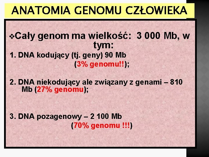 ANATOMIA GENOMU CZŁOWIEKA v. Cały genom ma wielkość: 3 000 Mb, w tym: 1.