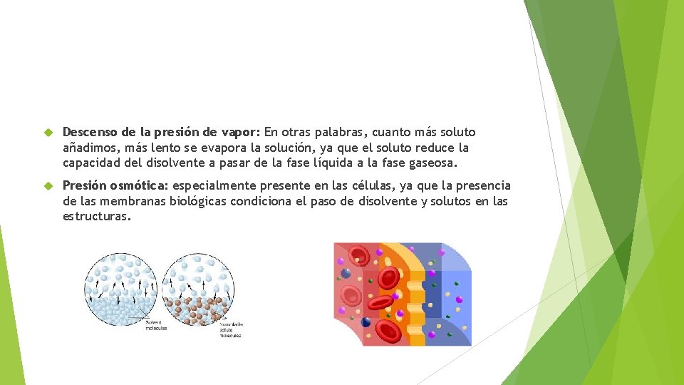  Descenso de la presión de vapor: En otras palabras, cuanto más soluto añadimos,