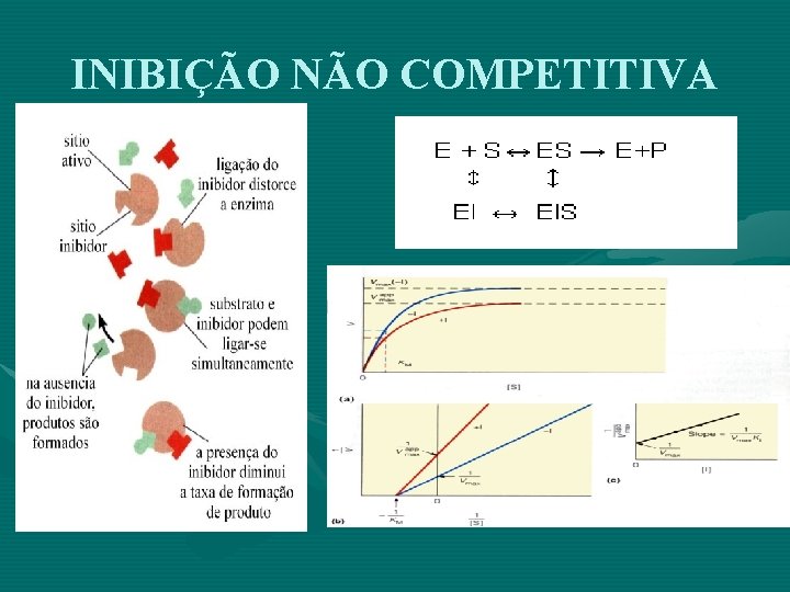 INIBIÇÃO NÃO COMPETITIVA 