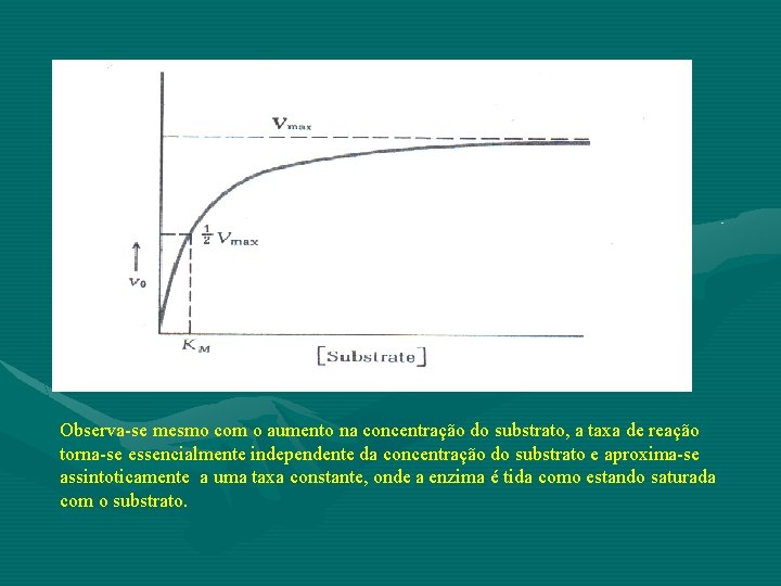 Observa-se mesmo com o aumento na concentração do substrato, a taxa de reação torna-se