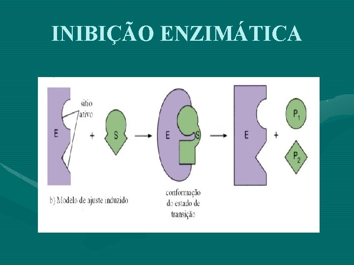 INIBIÇÃO ENZIMÁTICA 