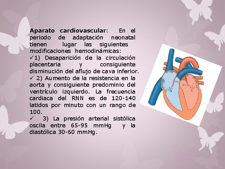 Aparato cardiovascular: En el periodo de adaptación neonatal tienen lugar las siguientes modificaciones hemodinámicas: