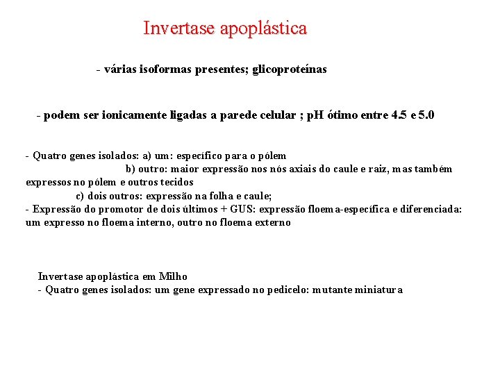 Invertase apoplástica - várias isoformas presentes; glicoproteínas - podem ser ionicamente ligadas a parede