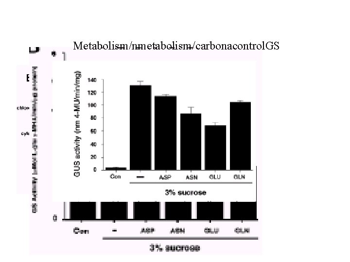 Metabolism/nmetabolism/carbonacontrol. GS 